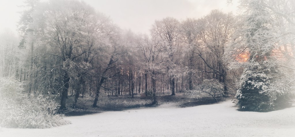 La verdad última, oculta del&nbsp;mundo